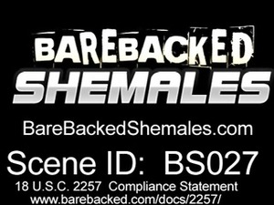 Sexy Shemale Have Bareback Sex With Him