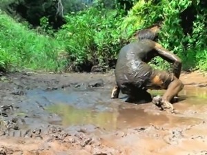 Getting Muddy