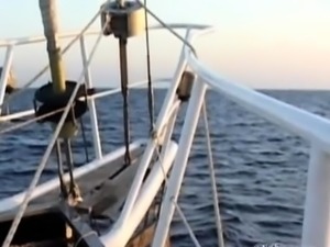 A Sailing Experience Melissa Black - Oldje